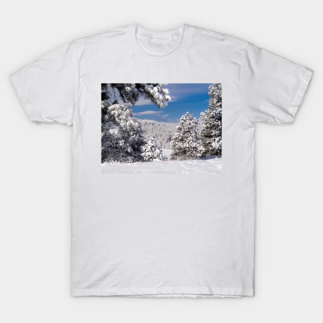 The Window into the Winter T-Shirt by algill